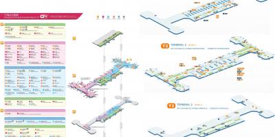Beijing airport terminal 2 peta